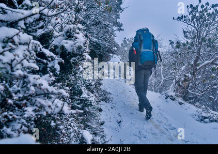 Wanderer zu Fuß durch einen Verschneiten Trail nach einem schweren Schneefällen im Himalaya Stockfoto