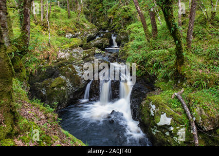 Cordorcan brennen Wasserfälle in den Wald von Cree Nature Reserve, Newton Stewart, Dumfries und Galloway, Schottland Stockfoto