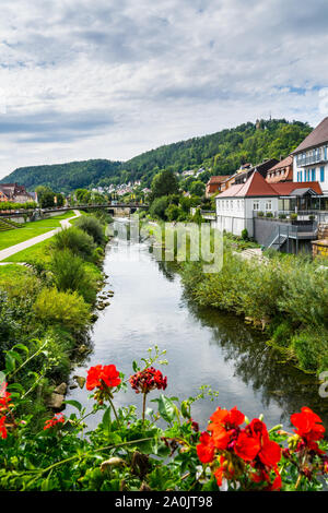 Deutschland, Neckar fließt durch die Stadt Horb am Neckar im nördlichen Schwarzwald Natur Landschaft Ferienhäuser Region mit roten Blumen Stockfoto