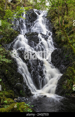 Pulhowan brennen Wasserfall im Wald von Cree Nature Reserve, Newton Stewart, Dumfries und Galloway, Schottland Stockfoto