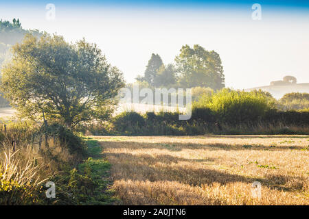 Der Blick Richtung Liddington Hill in der Nähe von Swindon, Wiltshire auf einer frühen Herbstmorgen.