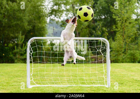 Springen Torwart fang Fußball (Fußball) Kugel Stockfoto