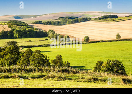 Eine Spätsommer Blick über die Marlborough Downs in der Nähe von West Kennett. Stockfoto