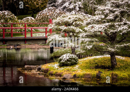 Japanischer Garten bei Normandale Volkshochschule in Bloomington, Minnesota während einer Herbst Schnee. Stockfoto