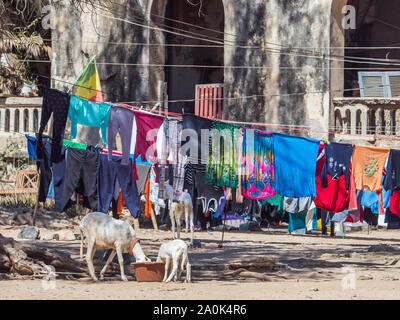 Goree, Senegal - Februar 2, 2019: das tägliche Leben auf der Insel Goree. Gorée. Dakar, Senegal. Afrika. Stockfoto