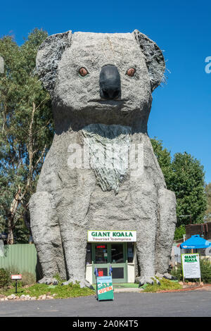 Dadswells Brücke, Victoria, Australien - März 4, 2017. Die riesigen Koala, von Bildhauer Ben van Zetten in Dadswells Brücke, Victoria erstellt. Stockfoto