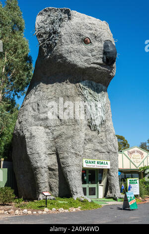 Dadswells Brücke, Victoria, Australien - März 4, 2017. Die riesigen Koala, von Bildhauer Ben van Zetten in Dadswells Brücke, Victoria erstellt. Stockfoto