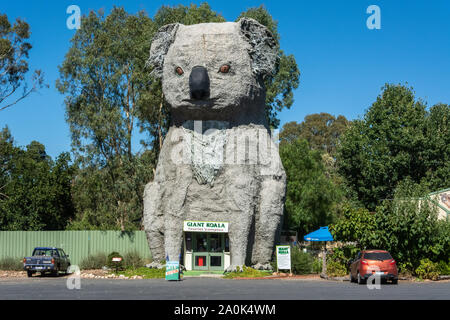 Dadswells Brücke, Victoria, Australien - März 4, 2017. Die riesigen Koala, von Bildhauer Ben van Zetten in Dadswells Brücke, Victoria erstellt, mit Autos. Stockfoto