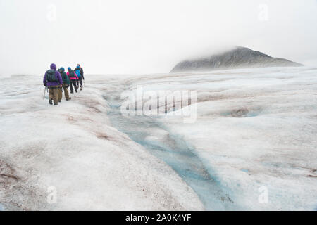 Wanderer tragen Steigeisen folgen einem Führer über das Eis auf einem Trekking Abenteuer über Zitrone Gletscher, Juneau Icefield, Juneau, Alaska, USA Stockfoto