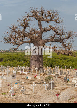 Joal-Fadiout, Senegal - Januar, 26, 2019: hugee Baobab Baum auf dem Friedhof. Joal-Fadiouth Stadt und Kommune in der Region Thiès am Ende der Pet Stockfoto