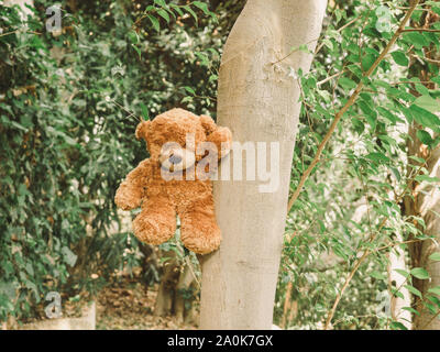 Brauner Teddybär, bequem sitzen auf dem Baum, als ob es ein eigenes Leben hatte. Stockfoto