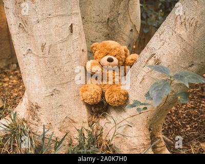 Brauner Teddybär, bequem sitzen auf dem Baum, als ob es ein eigenes Leben hatte. Stockfoto