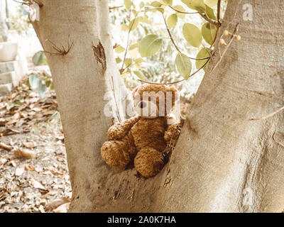 Brauner Teddybär, bequem sitzen auf dem Baum, als ob es ein eigenes Leben hatte. Stockfoto