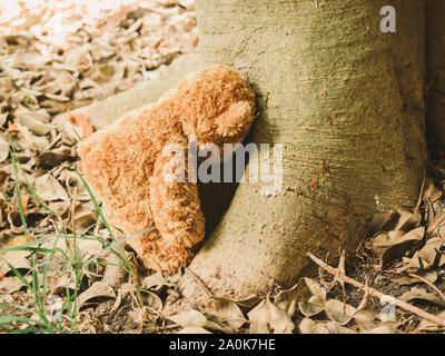 Brauner Teddybär, bequem sitzen auf dem Baum, als ob es ein eigenes Leben hatte. Stockfoto