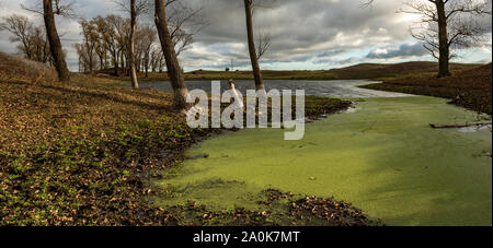 Ein Teich tith eine grüne Fläche in der Nähe zu La Pampa Provinz. Stockfoto