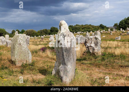 Alignements du Menec-Zeilen der Menhire - Steine - die größte Megalithen in der Welt, Carnac Stockfoto