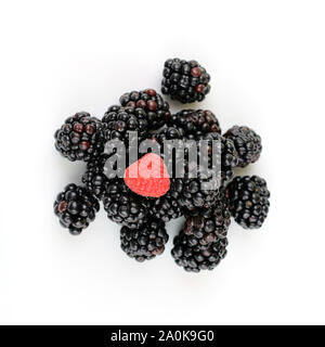 Frische Beeren. Himbeeren, Brombeeren und Heidelbeeren mit Minze auf weißem Hintergrund. Ansicht von oben Stockfoto
