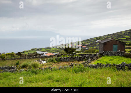 Wiese Landschaft in Corvo. Azoren, Portugal Stockfoto