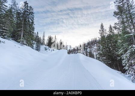 Winterlandschaft in den österreichischen Alpen mit den schneeverwehungen am Straßenrand und die verschneite Pinien. Stockfoto