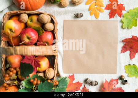 Draufsicht auf das leere Papier u. Herbst Blätter, Eicheln, Walnüsse und reife Äpfel Stockfoto