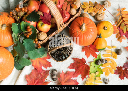 Korb mit Äpfel, Kürbisse, Herbst Blätter, Eicheln, Walnüsse und firtree Kegel Stockfoto