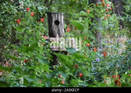 Cute Bird Feeder umgeben von Blumen Stockfoto