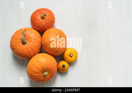 Gruppe von Reifen orange Große und kleine Kürbisse auf weißem Hintergrund isoliert Stockfoto