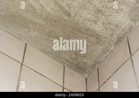 Spot von Schimmel, Schimmel, Schimmel oder fungas an der Ecke der Decke über schmutzige Fliesen blass rosa Wand. Stockfoto