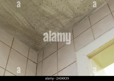 Spot von Schimmel, Schimmel, Schimmel oder fungas auf die weiße Decke über schmutzige Fliesen blass rosa Wand und Tür in der Toilette. Stockfoto