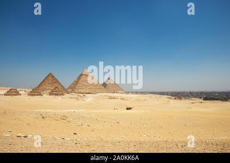 Touristen auf Kamele sehen Khufu, Khafre, Menkaure und Pyramiden von Königinnen aus Wüste. Stockfoto