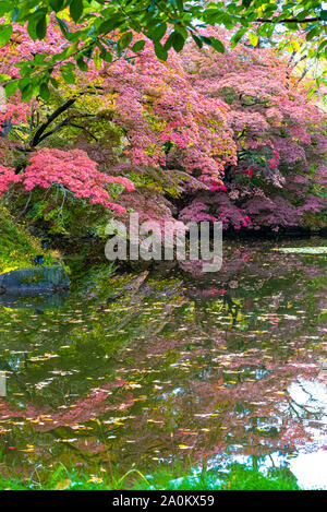 Hirosaki Schloss Park Herbst Laub Landschaft sehen. Schönen Landschaften von Cognac auf der Oberfläche spiegelt in sonniger Tag. Hirosaki Stadt Aomori Pref Stockfoto