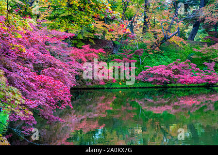 Hirosaki Schloss Park Herbst Laub Landschaft sehen. Schönen Landschaften von Cognac auf der Oberfläche spiegelt in sonniger Tag. Hirosaki Stadt Aomori Pref Stockfoto