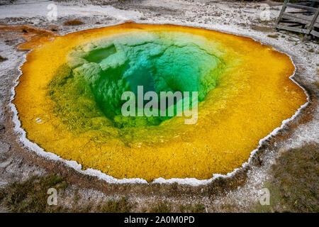Morning Glory Pool im Yellowstone National Park, Wyoming, USA Stockfoto