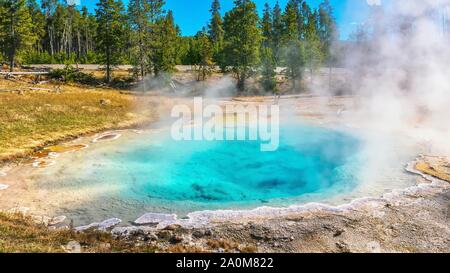 Das klare türkisblaue Wasser und aufsteigenden Dampf von Silex Feder am Fountain Paint Pot im unteren Geyser Basin im Yellowstone National Park. Wyoming, Stockfoto