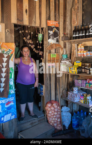 Neuquen, Argentinien - 13. Januar 2014: eine Frau Mapuche verkaufen in Ihrem Store in der Mitte der Anden, in der Nähe von Lanin Nationalpark in Southe Stockfoto