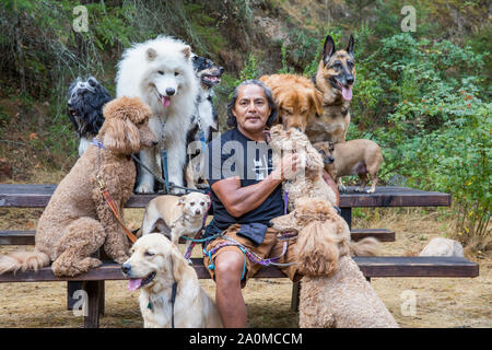 Während einer Pause, professionelle Dog Walker und Trainer Juan Carlos Zuniga von Hunden auf einer Parkbank umgeben. Stockfoto