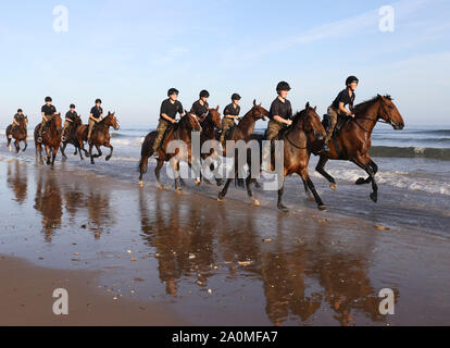 Holkham, UK. 20 Sep, 2019. Soldaten und ihre Pferde aus dem Könige Troop Royal Horse artillery genießen Sie ihre Ausbildung am Strand in Norfolk, Großbritannien am 20. September 2019. Credit: Paul Marriott/Alamy leben Nachrichten Stockfoto