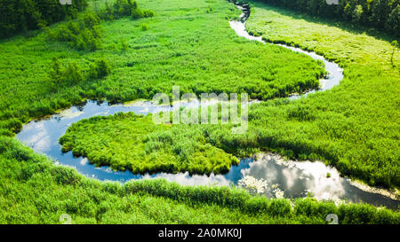Kleine gewundene Fluss unter grünen Sümpfe, Luftaufnahme Stockfoto