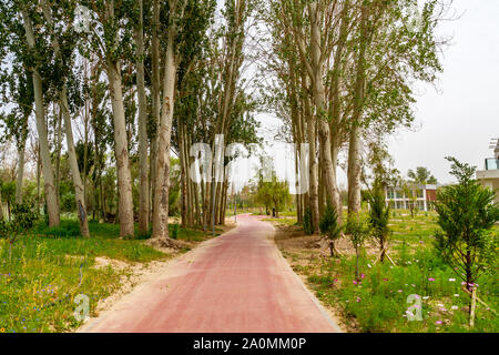 Hotan malerischen Kunlun Lake Park Blick auf einen gemeinsamen Weg mit Bäumen an einem bewölkten Himmel Tag Stockfoto