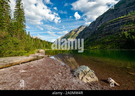 Spuren der Zedern und Avalanche Creek Stockfoto