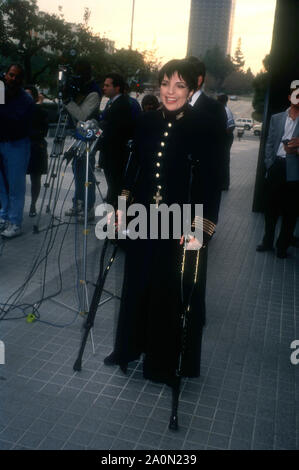 Century City, Kalifornien, USA, 22. Dezember 1994 Sängerin/Schauspielerin Liza Minelli eine Pressekonferenz besucht ihr erfolgreiches Hüftoperation am 22. Dezember 1994 im Century City Hospital in Century City, Kalifornien, USA zu diskutieren. Foto von Barry King/Alamy Stock Foto Stockfoto