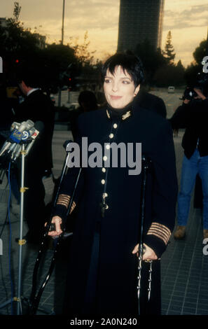 Century City, Kalifornien, USA, 22. Dezember 1994 Sängerin/Schauspielerin Liza Minelli eine Pressekonferenz besucht ihr erfolgreiches Hüftoperation am 22. Dezember 1994 im Century City Hospital in Century City, Kalifornien, USA zu diskutieren. Foto von Barry King/Alamy Stock Foto Stockfoto