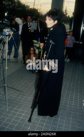 Century City, Kalifornien, USA, 22. Dezember 1994 Sängerin/Schauspielerin Liza Minelli eine Pressekonferenz besucht ihr erfolgreiches Hüftoperation am 22. Dezember 1994 im Century City Hospital in Century City, Kalifornien, USA zu diskutieren. Foto von Barry King/Alamy Stock Foto Stockfoto