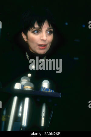 Century City, Kalifornien, USA, 22. Dezember 1994 Sängerin/Schauspielerin Liza Minelli eine Pressekonferenz besucht ihr erfolgreiches Hüftoperation am 22. Dezember 1994 im Century City Hospital in Century City, Kalifornien, USA zu diskutieren. Foto von Barry King/Alamy Stock Foto Stockfoto