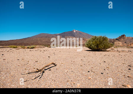 Sonnigen Tag im Trockenen, vulkanischen Landschaft der Wüste auf Pico del Teide, Teneriffa Stockfoto