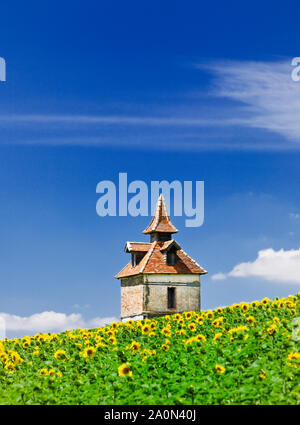 Taubenloft oder Pigeonniere auf einem Feld mit Sonnenblumen in Südfrankreich, Europa Stockfoto