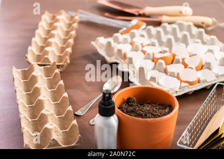Starten Samen in Eierschalen für Frühjahr einpflanzen. Stockfoto