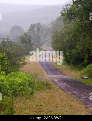 Die ehemalige Brecon und Merthyr Railway Line bildet nun die Route der Brecon wandern und National Cycle Network Route 8 Durch den Brecon b Stockfoto