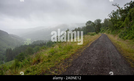 Die ehemalige Brecon und Merthyr Railway Line bildet nun die Route der Brecon wandern und National Cycle Network Route 8 Durch den Brecon b Stockfoto