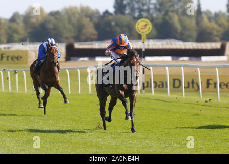 Ryan Moore und Cherokee Trail gewinnen Abteilung I des SIS Familientag EBF Anfänger Stakes Rennen in Newbury Racecourse. Stockfoto